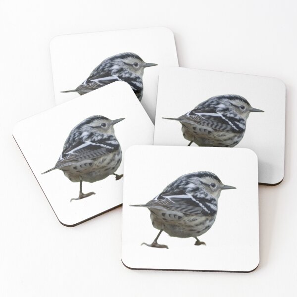 Item preview, Black and White Warbler - The Curious One designed and sold by naturetimes.