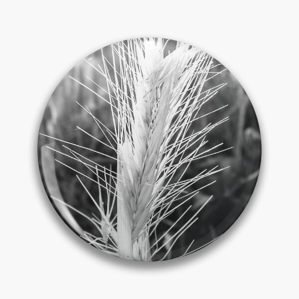 Item preview, Black and White Close-Up of Wild Wheat Grass Spike in Sunlit Field Showing Texture and Detail designed and sold by Nmallia.