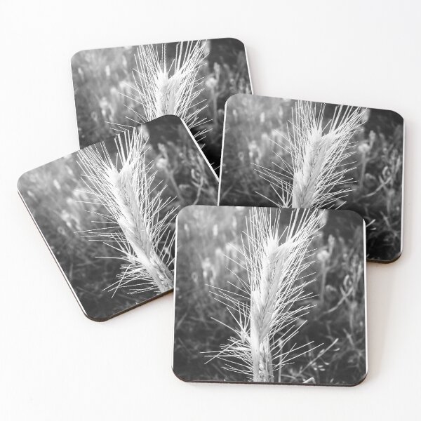Item preview, Black and White Close-Up of Wild Wheat Grass Spike in Sunlit Field Showing Texture and Detail designed and sold by Nmallia.