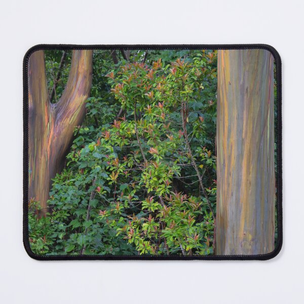 Item preview, Rainbow Trees designed and sold by CopperSkyPhoto.