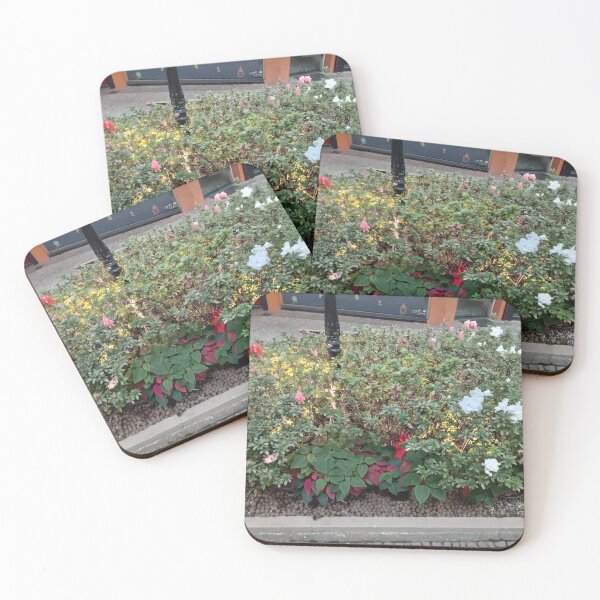 Item preview, Blooming Azaleas and Poinsettias in Urban Garden designed and sold by André Ramos Ielo.