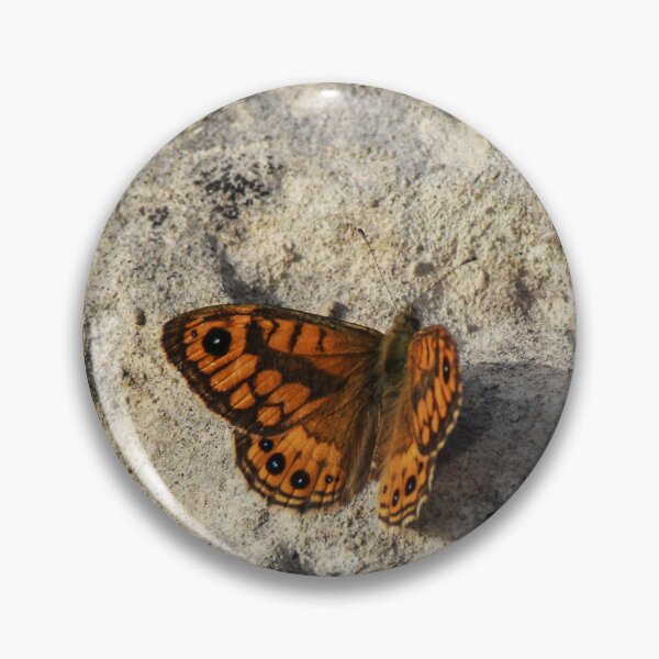 Item preview, Orange Butterfly Resting on Rocky Ground Casting a Long Shadow in Selective Color designed and sold by Nmallia.