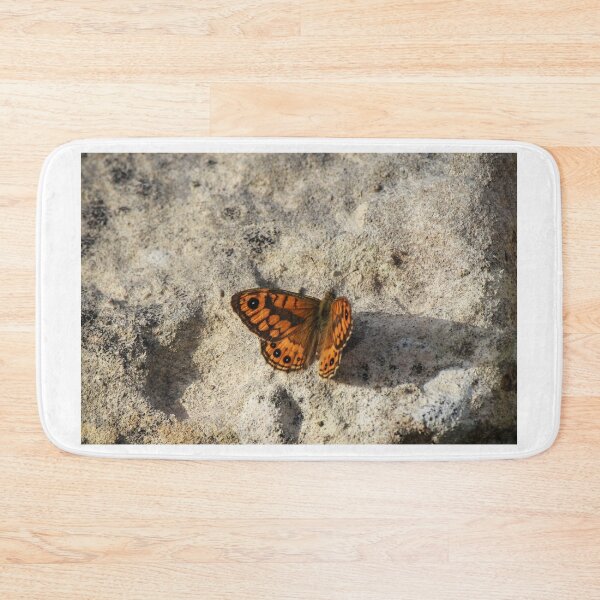 Item preview, Orange Butterfly Resting on Rocky Ground Casting a Long Shadow in Selective Color designed and sold by Nmallia.