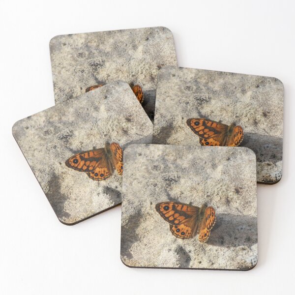 Item preview, Orange Butterfly Resting on Rocky Ground Casting a Long Shadow in Selective Color designed and sold by Nmallia.