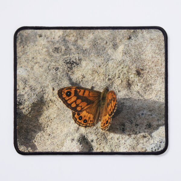 Item preview, Orange Butterfly Resting on Rocky Ground Casting a Long Shadow in Selective Color designed and sold by Nmallia.