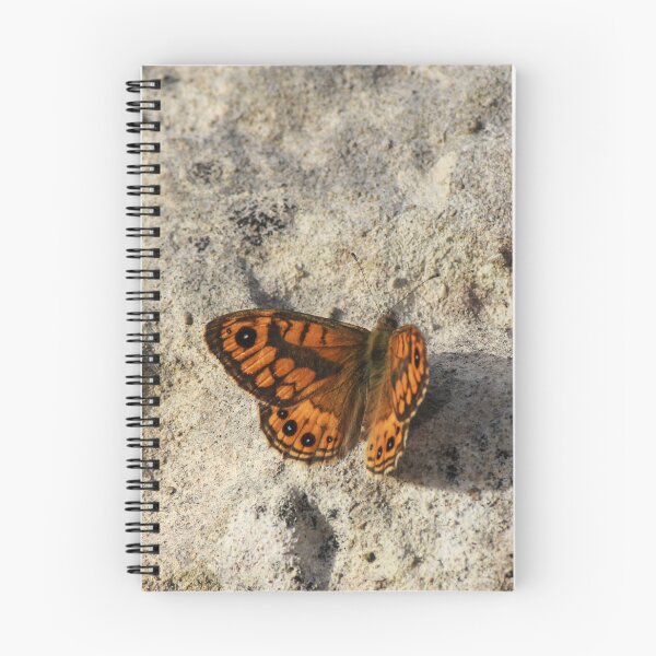 Item preview, Orange Butterfly Resting on Rocky Ground Casting a Long Shadow in Selective Color designed and sold by Nmallia.