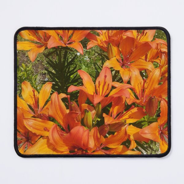 Item preview, Orange Lilies in Bloom designed and sold by inspiration3.