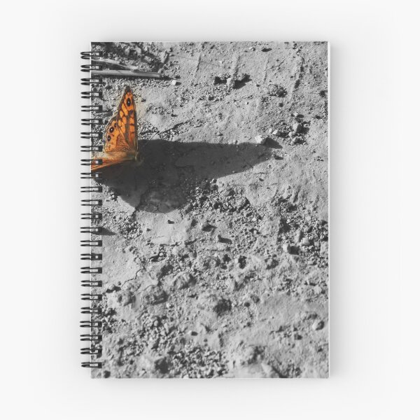 Item preview, Orange Butterfly Resting on Rocky Ground Casting a Long Shadow in Selective Color designed and sold by Nmallia.