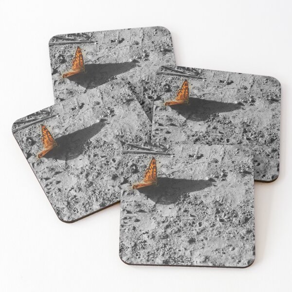 Item preview, Orange Butterfly Resting on Rocky Ground Casting a Long Shadow in Selective Color designed and sold by Nmallia.