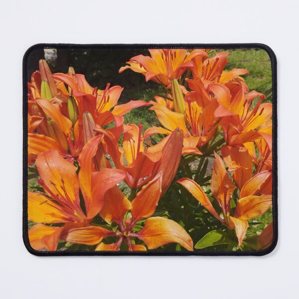 Item preview, Orange Lilies in Bloom designed and sold by inspiration3.
