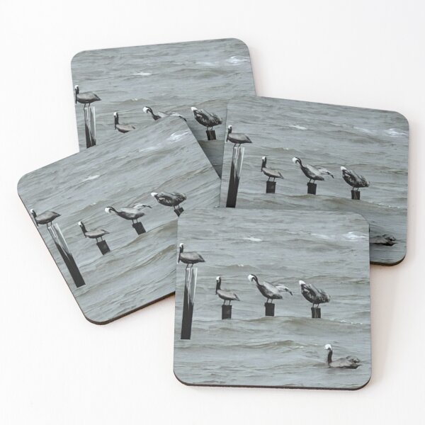 Item preview,     Brown Pelicans Perched on Beach Posts. designed and sold by Pearls1.