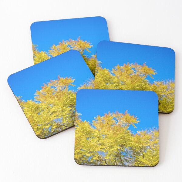 Item preview, Winter Foliage of Jacaranda Trees in Fujieda, Japan designed and sold by Pix4Japan.