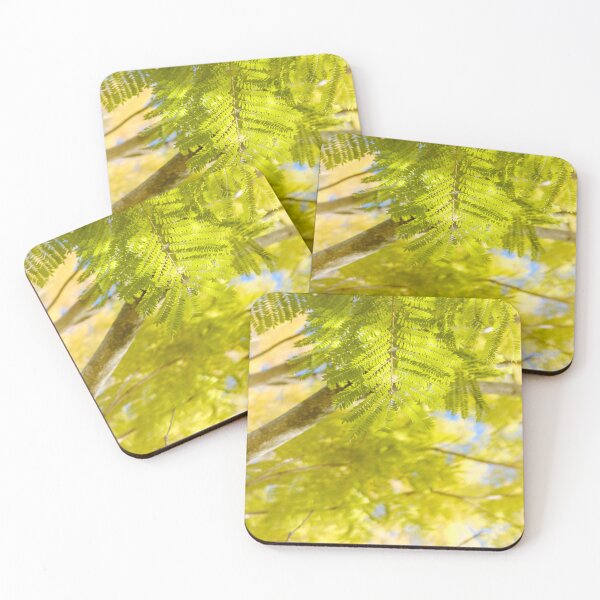 Item preview, Winter Foliage of Jacaranda Trees in Fujieda, Japan designed and sold by Pix4Japan.
