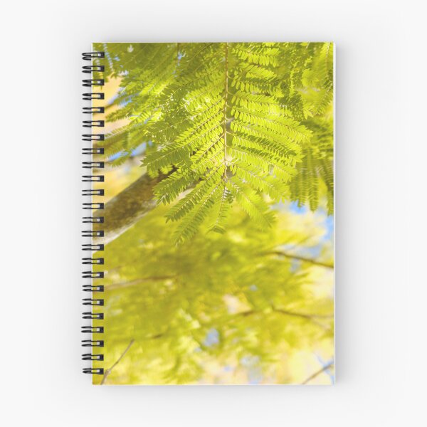 Item preview, Winter Foliage of Jacaranda Trees in Fujieda, Japan designed and sold by Pix4Japan.