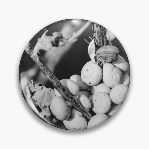 Item preview, Black and White Photo of Clustered Snail Shells on Dry Branches With Macro Texture designed and sold by Nmallia.