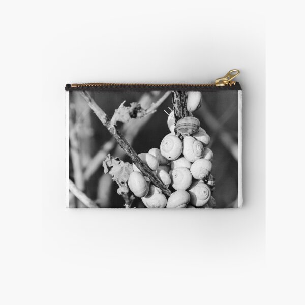 Item preview, Black and White Photo of Clustered Snail Shells on Dry Branches With Macro Texture designed and sold by Nmallia.