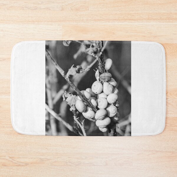 Item preview, Black and White Photo of Clustered Snail Shells on Dry Branches With Macro Texture designed and sold by Nmallia.