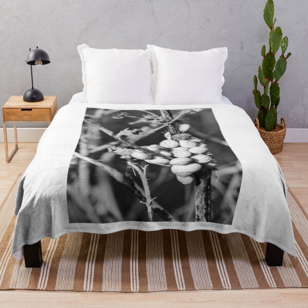 Item preview, Black and White Photo of Clustered Snail Shells on Dry Branches With Macro Texture designed and sold by Nmallia.