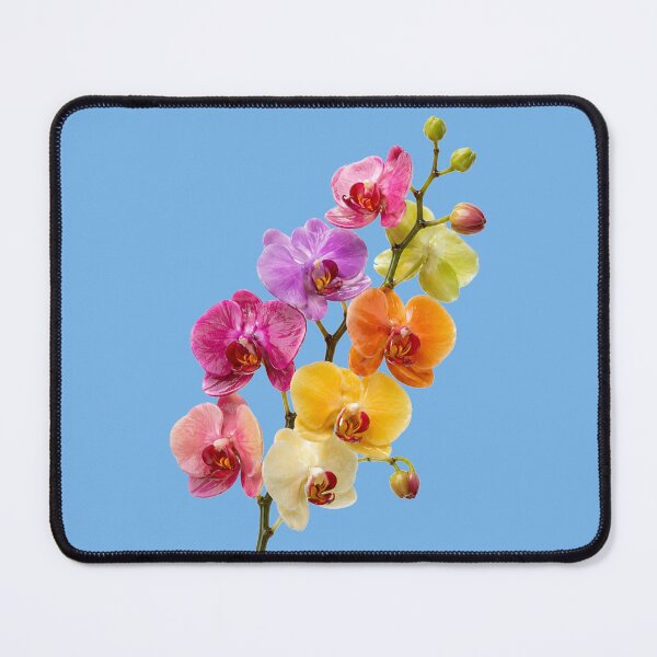 Item preview, Vibrant Rainbow Orchid Branch on Black designed and sold by puzzell.