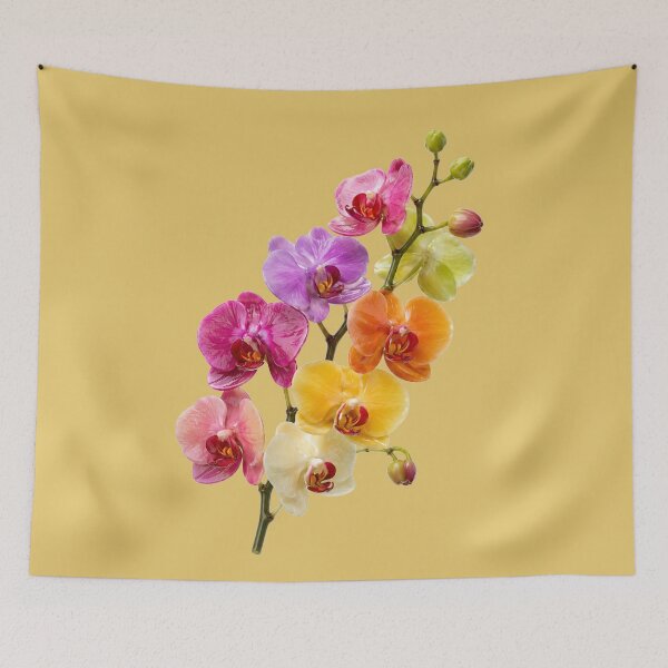Item preview, Vibrant Rainbow Orchid Branch on Black designed and sold by puzzell.