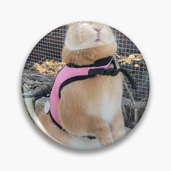 Item preview, Cottontail designed and sold by Common Graces.