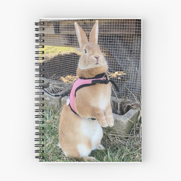 Item preview, Cottontail designed and sold by Common Graces.