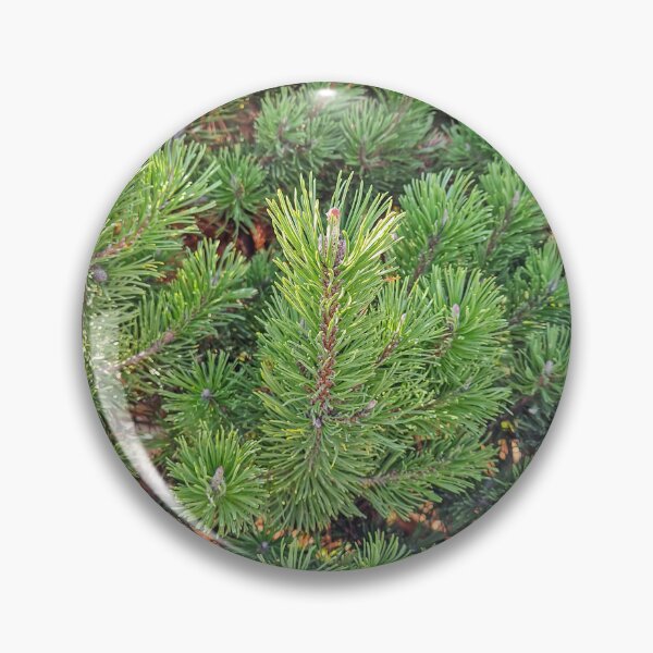 Item preview, green pine needles texture  designed and sold by psychoshadow.