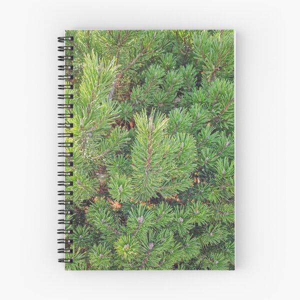 Item preview, green pine needles texture  designed and sold by psychoshadow.