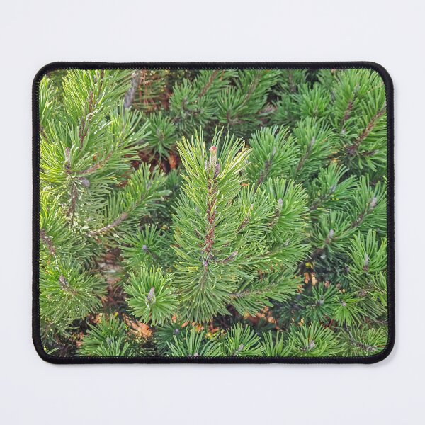 Item preview, green pine needles texture designed and sold by psychoshadow.