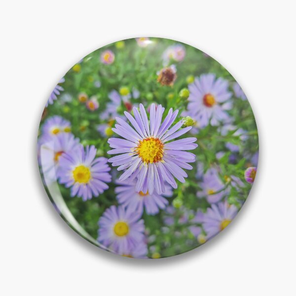 Item preview, purple Aster amellus flowers designed and sold by psychoshadow.