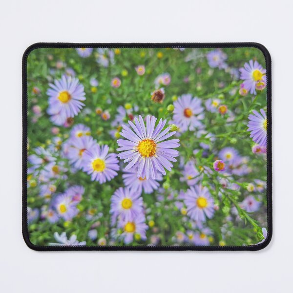 Item preview, purple Aster amellus flowers designed and sold by psychoshadow.