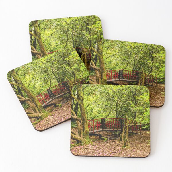 Item preview, The Oriental Bridge, Parc Cefn Onn, Cardiff designed and sold by VnGphoto.