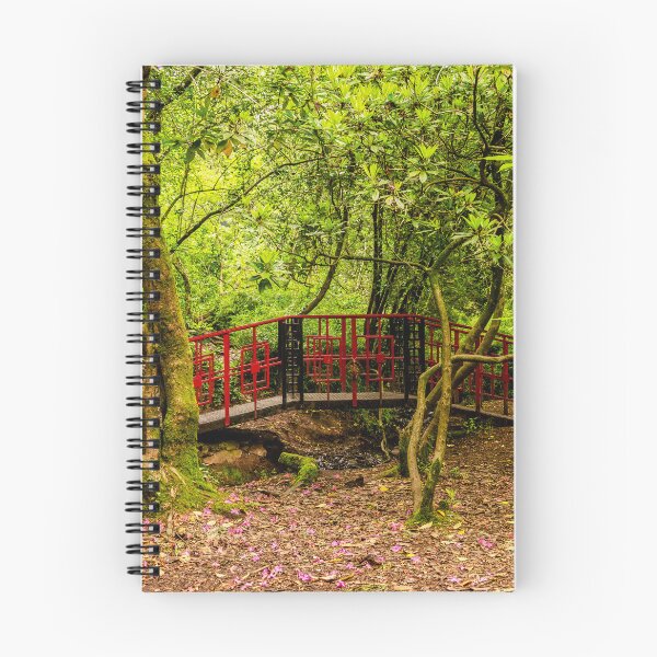 Artikelvorschau, Die Oriental Bridge, Parc Cefn Onn, Cardiff entworfen und verkauft von VnGphoto.