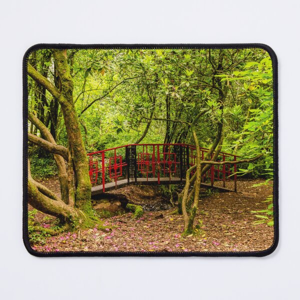 Item preview, The Oriental Bridge, Parc Cefn Onn, Cardiff designed and sold by VnGphoto.