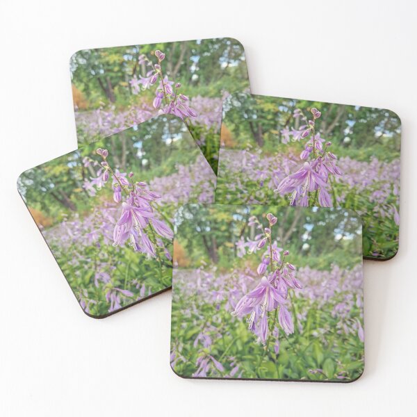 Item preview, Hosta plants in bloom designed and sold by psychoshadow.
