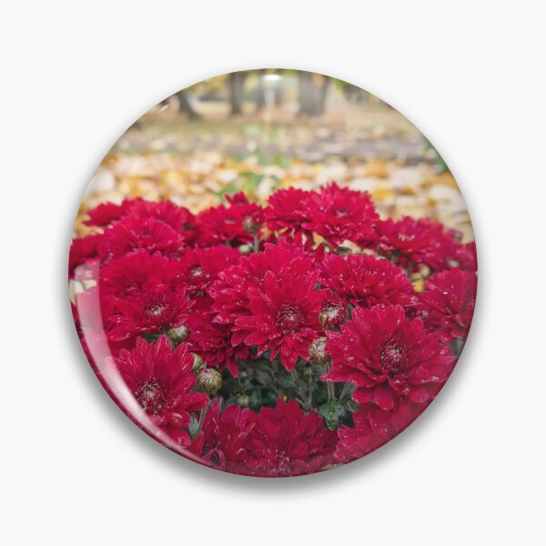 Item preview, red chrysanthemums cluster  designed and sold by psychoshadow.