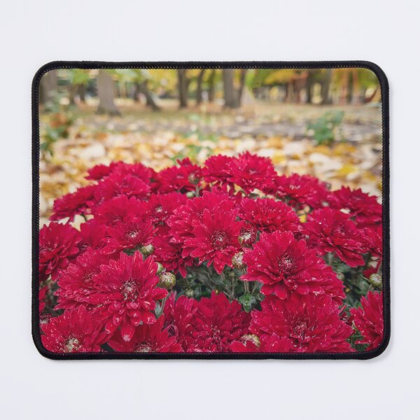 Item preview, red chrysanthemums cluster  designed and sold by psychoshadow.