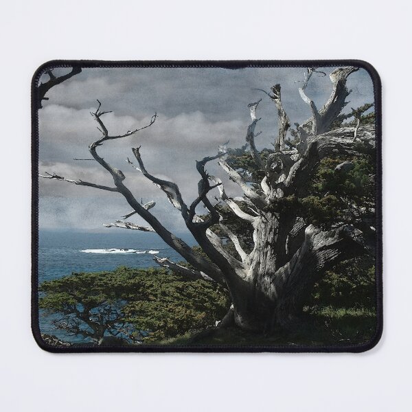 Item preview, Point Lobos Cypress designed and sold by Wayne King.
