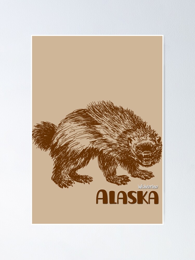 Poster Dessin De Carcajou Alaska Par Alaskaextreme Redbubble