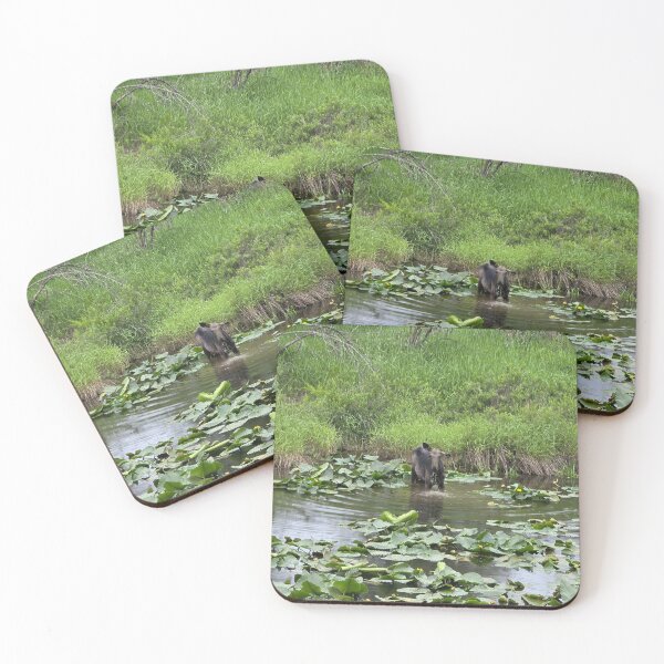 Item preview, Moose Among Water Lilies in a Peaceful Idaho Wetland designed and sold by Adventure Graphics.