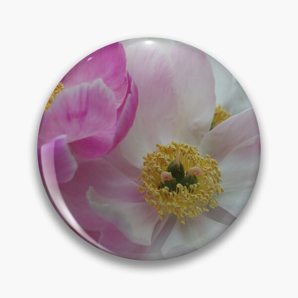 Item preview, Chinese Peony Beauties designed and sold by BostonArcImage.