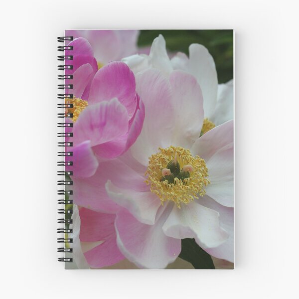 Item preview, Chinese Peony Beauties designed and sold by BostonArcImage.