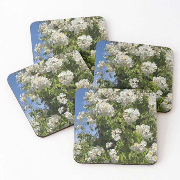 Item preview, White Climbing Roses Against Blue Summer Sky | Romantic Floral Nature Wall Art | Soft Petal Flower Print | Botanical Cottagecore Aesthetic | Spring Garden Decor | Feminine Floral Gift Design designed and sold by Zaitmiprints.