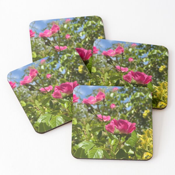 Item preview, Pink Climbing Roses in Bloom – Vibrant Cottage Garden Floral Photography  Soft Petal Flower Print | Botanical Cottagecore Aesthetic | Spring Garden Decor | Feminine Floral Gift Design designed and sold by Zaitmiprints.