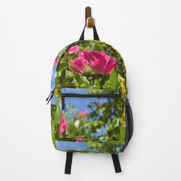 Item preview, Pink Climbing Roses in Bloom – Vibrant Cottage Garden Floral Photography Soft Petal Flower Print | Botanical Cottagecore Aesthetic | Spring Garden Decor | Feminine Floral Gift Design designed and sold by Zaitmiprints.