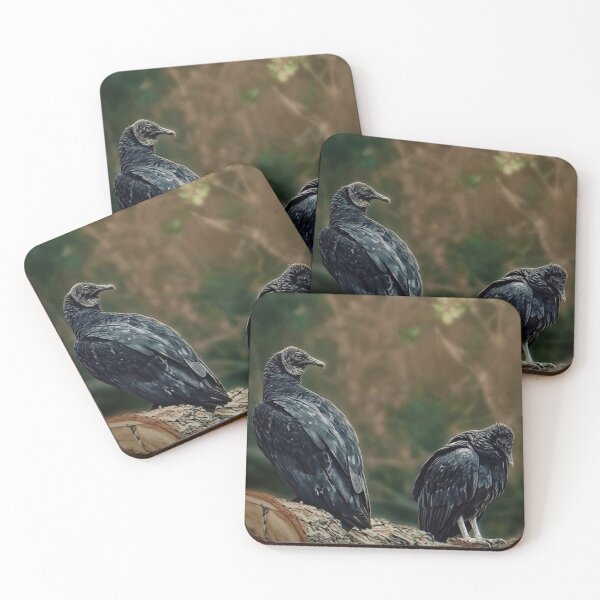 Item preview, Wild Black Vultures | EDINSTEPPE Collection designed and sold by E D I N S T E P P E.