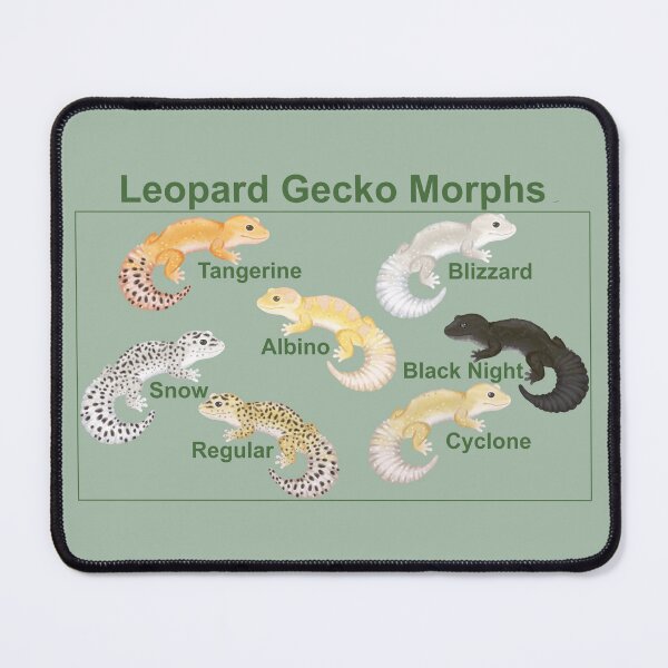 Item preview, Leopard gecko morphs designed and sold by CordieDittus.