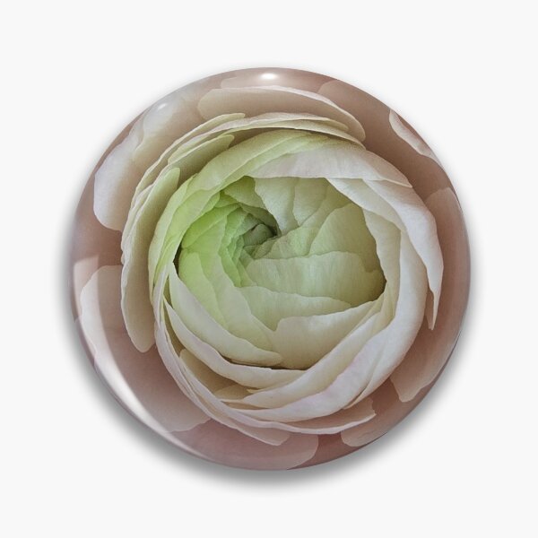 Item preview, Pink Ranunculus designed and sold by Princess1222.