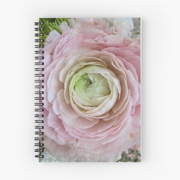 Item preview, Pink Ranunculus designed and sold by Princess1222.