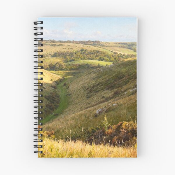 Item preview, Devil’s Dyke South Downs - Landscape Summer Print - A3 A4 A5 Countryside Decor designed and sold by QuietCanvasArtworks.